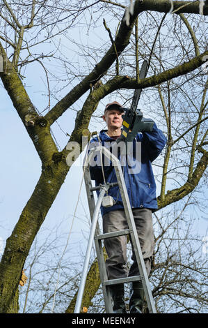 Lavorare in giardino. L'uomo il taglio di un ramo di Albero appassito elettrica con sega a catena. Lavorare in giardino. Foto Stock