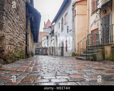 Via medievale Passaggio di Santa Caterina o Katariina kaik, marciapiede nella Città Vecchia di Tallinn, Estonia Foto Stock