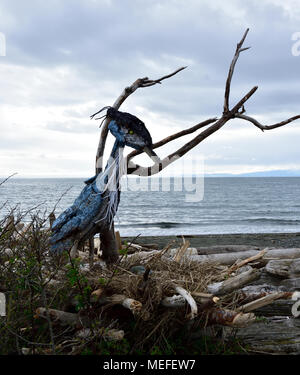 Gli artisti locali producono una grande airone cenerino e nido da driftwood, conchiglie e gli elementi che entrano in con la marea a Esquimalt laguna. Foto Stock