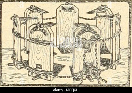 . Die Gartenkunst . D. R. P. n. 185513. zum bequemen, schnellen und trasporti- sieheren EinkÃ¼beln von grÃ¶sseren Einzel- pflanzen (Koniferen, Taxus ecc.) liefert J. A. Scherer, Maschinenfabrik, KÃ¶ln-Lindenthal. = Verlangen Sie Prospekt! ===== In grÃ¶sseren stÃ¤dtischen Betrieben mehr- jÃ hrig¤erprobt. ^ Abner¤RasenmÃ herâPerfektion" Im Gebrauche der Carlen Suor magg. des Deutschen Kaiser. Erstklassiges Fabrikat. Die Hauptparterre Ã¶er DÃ¼sselÃ¶orfer Ausstellung 1904 unÃ¶ Ã¶er Mannheimer Ausstellung 1907 wÃ¼rben nur mit âPerfektion geschnitten". ÂPerfektion" erhielt auf Ã¶en Foto Stock