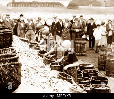 Scottish fisher ragazze (aringa grondaie e imballatori), Great Yarmouth, agli inizi del novecento Foto Stock