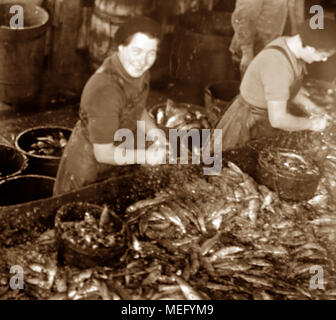 Scottish fisher ragazze (aringa grondaie e imballatori), Great Yarmouth, agli inizi del novecento Foto Stock