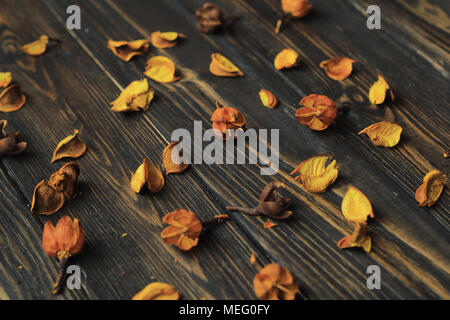 Petali di fiori secchi su sfondo di legno Foto Stock