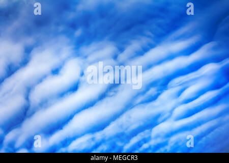 Alta cloud (altocumulus nuvole) ovini, nuvole, lanosa, vello nuvole al tramonto, sky, il cielo Foto Stock