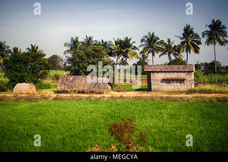 Indian zone agricole con case di ryots (contadini) Foto Stock