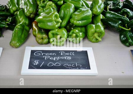 Una varietà di peperoni in esposizione e in vendita presso un mercato agricolo locale all'aperto in Michigan, Stati Uniti Foto Stock