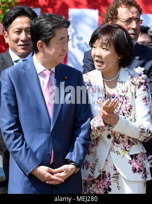 Tokyo, Giappone. Xxi Aprile, 2008. Al ritorno da colloqui con gli Stati Uniti Presidente Donald Trump in Florida, Primo Ministro giapponese Shinzo Abe e sua moglie Akie host a Cherry Blossoms partito di osservazione a Shinjuku Gyoen National Garden nel cuore di Tokyo il Sabato, 21 aprile 2018. Alcuni 17.000 ospiti provenienti da vari settori tra cui sport, cultura e intrattenimento, sono stati invitati al raduno annuale. Credito: Natsuki Sakai/AFLO/Alamy Live News Foto Stock