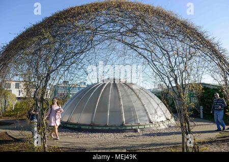 (180423) -- Varsavia, Aprile 23, 2018 (Xinhua) -- la gente a piedi al roof garden di Varsavia Biblioteca Universitaria di Varsavia, Polonia, il 20 aprile 2018. Il giardino botanico di Varsavia Biblioteca Universitaria è uno dei più grandi giardini sul tetto in Europa e copre oltre un ettaro di area. (Xinhua/Jaap Arriens) (jmmn) Foto Stock