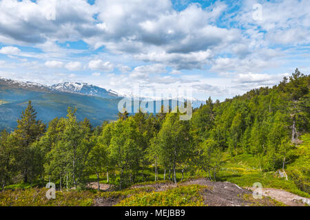 Panorama di montagna al forest line, Norvegia, sulla strada verso la cima della montagna vicino Molden Hafslo, vista sul bosco di betulle, alle vette innevate Foto Stock
