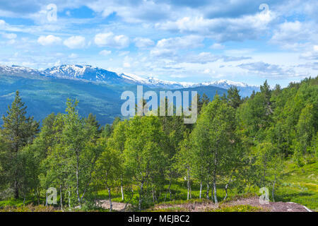 Panorama di montagna al forest line, Norvegia, sulla strada verso la cima della montagna vicino Molden Hafslo, betulla foresta con vista di vette innevate Foto Stock