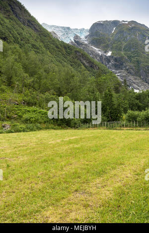 Glacier Supphellebreen, parte di Jostedal National Park, Norvegia, vicino a Fjaerland, verdi prati giù nella valle Foto Stock