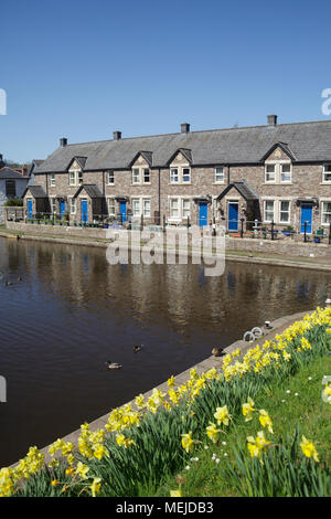 Il Brecon Bacino del canale - inizio del Monmouthshire e Brecon Canal nel cuore di Brecon, Galles del Sud in una giornata di sole Foto Stock