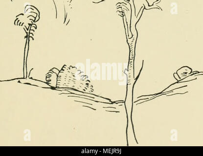 . Die Baumzeichnung in der deutschen Graphik des 15. und 16. Jahrhunderts. Ein Beitrag zur Geschichte der deutschen Landschaftsdarstellung . 107 Foto Stock