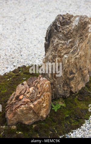 Pietre e moss nel giardino di roccia, stock photo Foto Stock