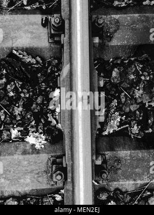 Dritti sparati da sopra su una moderna linea ferroviaria in bianco e nero con foglie di autunno tra Foto Stock