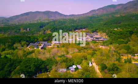 Vista aerea della città di Gyeongju durante la stagione primaverile, Corea del Sud. Foto Stock