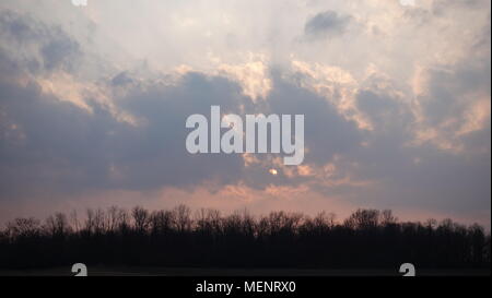 Nuvole nel cielo. Varie forme, dimensioni e scene. La foresta, gli alberi, le cime degli alberi al tramonto. E drammatiche immagini tematica perfetto per utilizzare come sfondo. Foto Stock