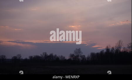 Nuvole nel cielo. Varie forme, dimensioni e scene. La foresta, gli alberi, le cime degli alberi al tramonto. E drammatiche immagini tematica perfetto per utilizzare come sfondo. Foto Stock