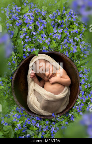 Piccolo neonato dormire in una ciotola in un prato con fiori speedwell Foto Stock