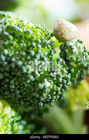 Broccoli close up con capperi Foto Stock