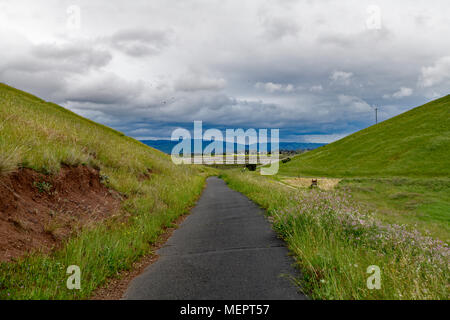 La bellezza naturale di Coyote Hill Parco Regionale, Fremont Foto Stock