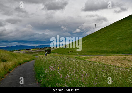 La bellezza naturale di Coyote Hill Parco Regionale, Fremont Foto Stock