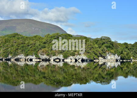 Paese circostante riflessioni sulla completamente la superficie calma di Muckross Lake in Irlanda nella luce del mattino. Foto Stock