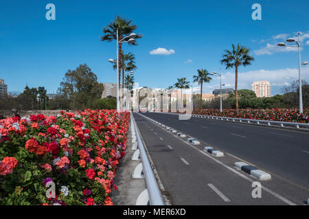 Puente de las Flores - Ponte di fiori di Pelargoniums oltre il parco pubblico Jardinines del Turia, Valencia, Spagna Foto Stock