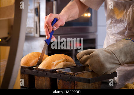 Un close-up di un panettiere uomo in un guanto protettivo tocca un pane appena sfornato pane fresco, che ha appena preso fuori del forno Foto Stock