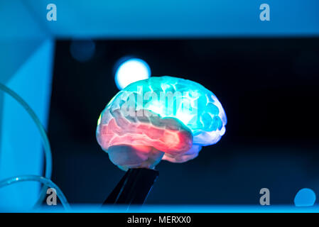 Modello di coloratissimi cervello umano su blur sullo sfondo Foto Stock