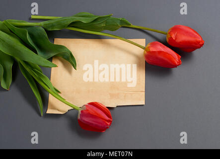 Tulipani naturale Fiori su fondo grigio scuro, il vecchio foglio di carta per il testo - amore e concetto di vacanza Foto Stock