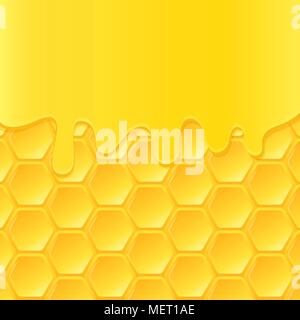 Sfondo vettoriale con nido e scorre il miele Illustrazione Vettoriale