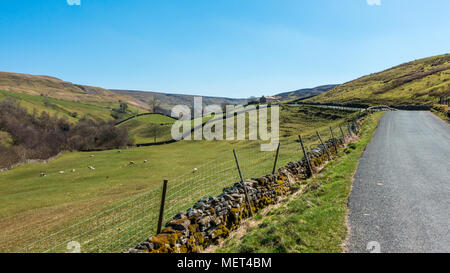 Vuoto B6270 strada in Swaledale su una bella giornata di sole, Yorkshire Dales, REGNO UNITO Foto Stock