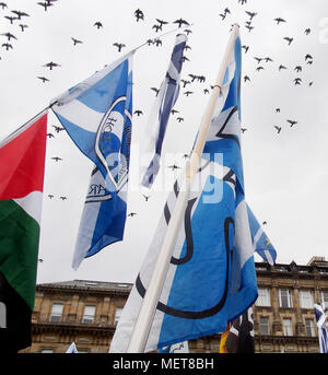 GLASGOW, SCOZIA - 19 settembre 2015: uccelli sorvolano sì bandiere del 1 anno di anniversario del referendum scozzese risultato a George Square. Foto Stock