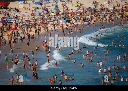 Dicembre 30, 2017: temperature oltre i 35 gradi Celsius tirare di masse di persone per la città affollate spiagge di Sydney, qui la spiaggia di Bondi, Sydney, Austral Foto Stock