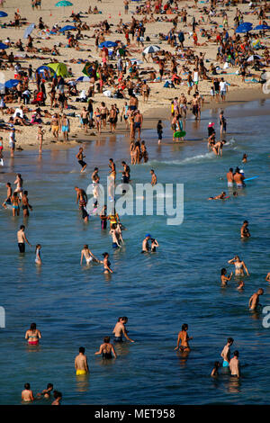 Dicembre 30, 2017: temperature oltre i 35 gradi Celsius tirare di masse di persone per la città affollate spiagge di Sydney, qui la spiaggia di Bondi, Sydney, Austral Foto Stock