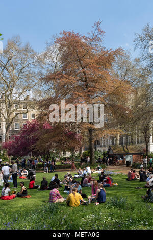 UCL gli studenti di Gordon Square, Bloomsbury, Londra UK nel sole di primavera Foto Stock