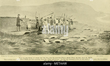 'Seal e la pesca del salmone e risorse generali di Alaska" (1898) Foto Stock