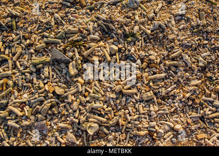 Sabbia di mare fatta di tessitura del mantello e pezzi di pietra Foto Stock