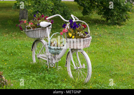 Decorativo modello Vintage vecchia bicicletta dotata cestello giardino di fiori Foto Stock