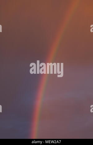 Doppio arcobaleno di fronte a un cielo rosa al tramonto in primavera Foto Stock