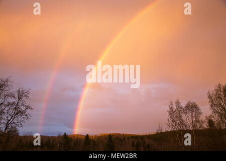 Doppio arcobaleno di fronte a un cielo rosa al tramonto in primavera Foto Stock