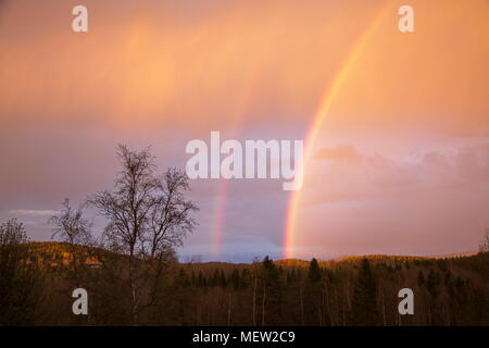 Doppio arcobaleno di fronte a un cielo rosa al tramonto in primavera Foto Stock