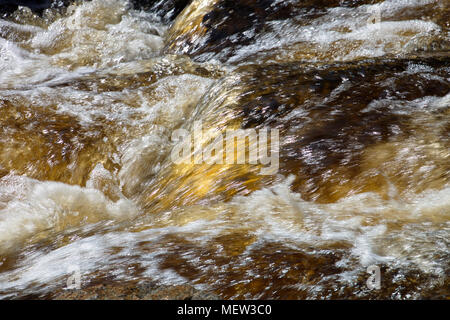 Close up di un puro e chiaro fiume naturale sgorga su golden pietre colorate Foto Stock