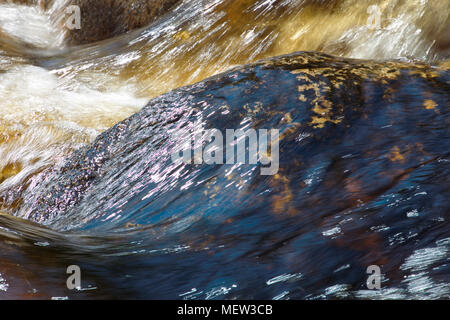 Close up di un puro e chiaro fiume naturale sgorga su golden pietre colorate Foto Stock