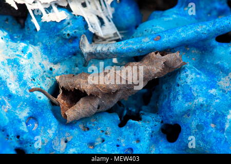 Blu in plastica fusa è una copertura di un bruciato cumulo di rifiuti Foto Stock