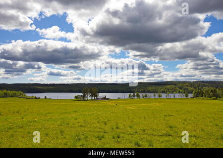 Un agriturismo si trova sulla riva di un lago circondato da prati fioriti e foresta su una soleggiata giornata estiva. Foto Stock