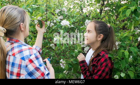 Giovane madre insegnamento sua figlia come tagliare rami con frese da giardino Foto Stock