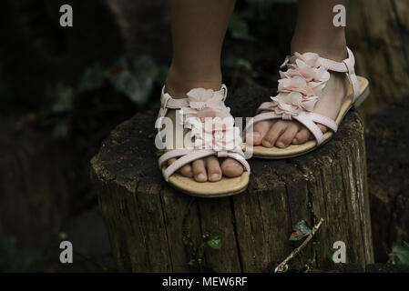 Vista ravvicinata di una ragazza in piedi indossa sandali rosa e in piedi su un tronco di albero. Foto Stock