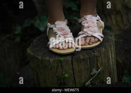 Vista ravvicinata di una ragazza in piedi indossa sandali rosa e in piedi su un tronco di albero. Foto Stock